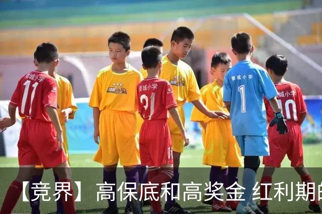 【竞界】高保底和高奖金 红利期的世界杯裁判