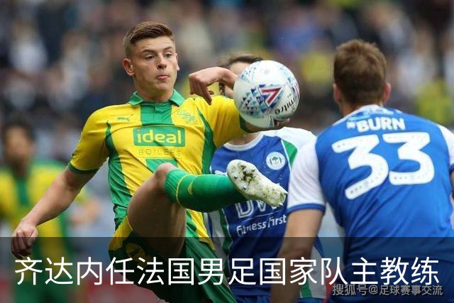 齐达内任法国男足国家队主教练